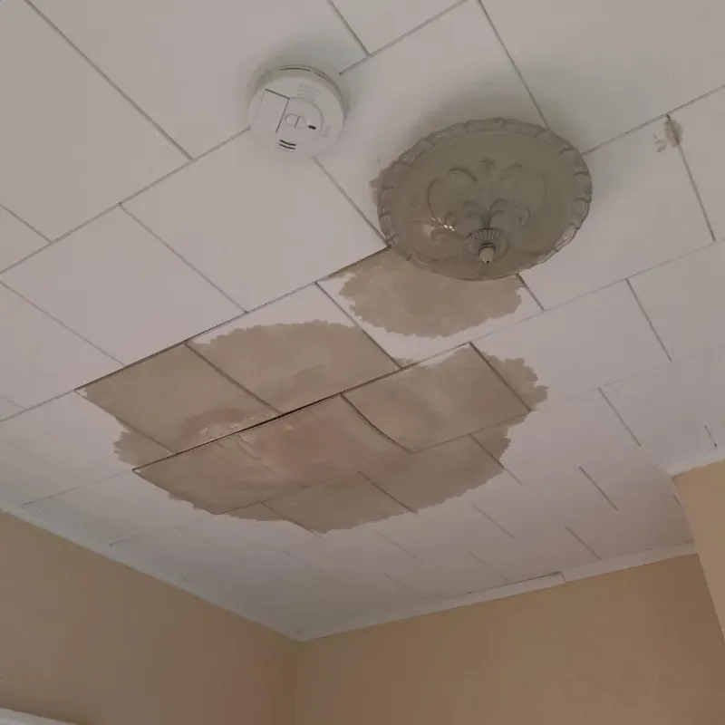 Ceiling Water Damage Repair in Ontario, OH